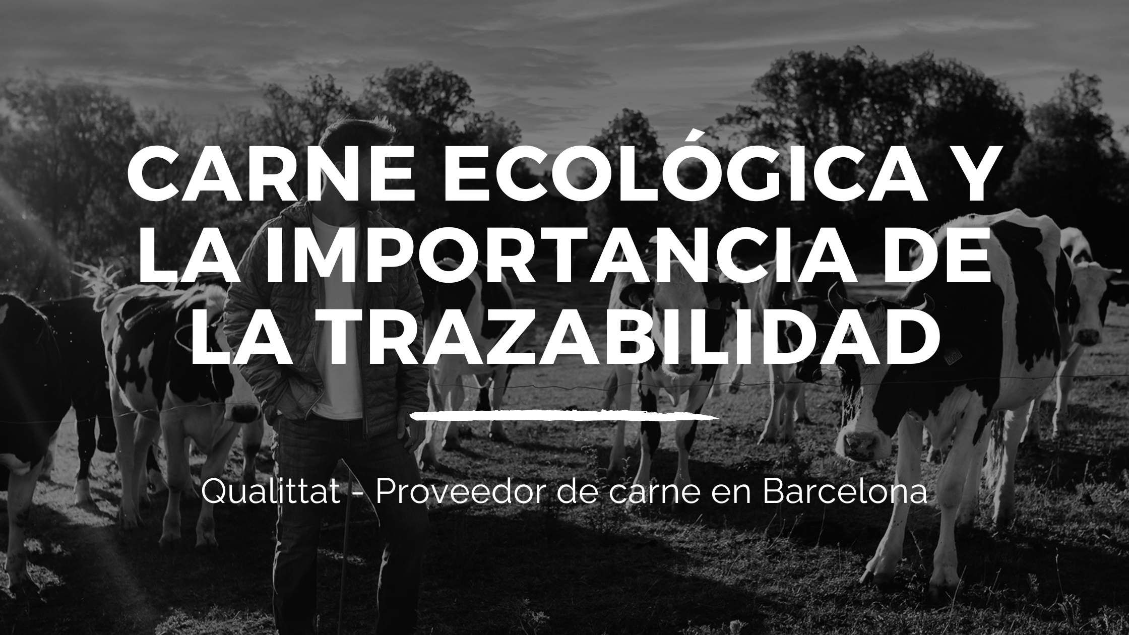 Comprar carne ecológica Barcelona